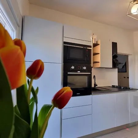 Spuki Apartamento Zadar