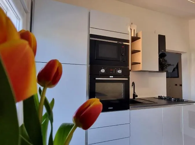 Spuki דירה זאדאר